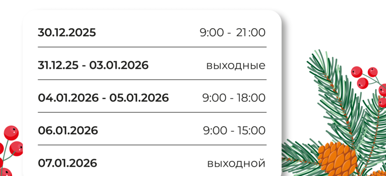 РЕЖИМ РАБОТЫ&nbsp;НА НОВОГОДНИЕ ПРАЗДНИКИ