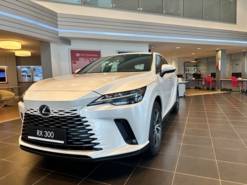 Lexus RX 300 2.0 AT (248 л.с.) 4WD Enjoy