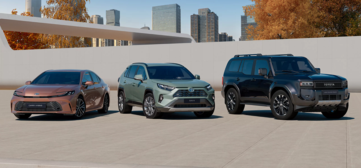 Зимнее спецпредложение: выгодные условия этого сезона