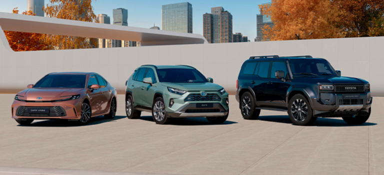 Зимнее спецпредложение: выгодные условия этого сезона